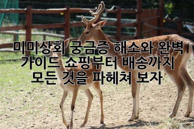 미미상회 궁금증 해소와 완벽 가이드: 쇼핑부터 배송까지 모든 것을 파헤쳐 보자!