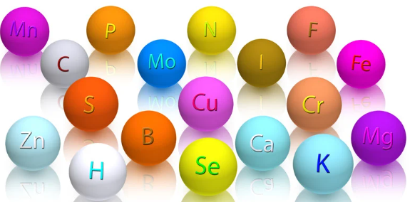 b95f6764c79067b9d109ed6863da4f49_1710073501_625.png b95f6764c79067b9d109ed6863da4f49_1710073501_625.png