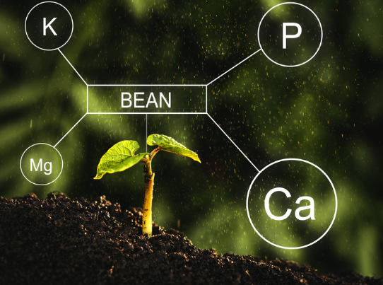 b95f6764c79067b9d109ed6863da4f49_1710073514_7931.png b95f6764c79067b9d109ed6863da4f49_1710073514_7931.png