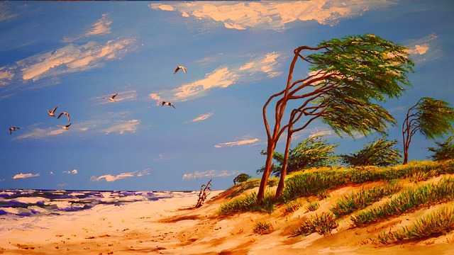 아크릴푸드커버008.jpg